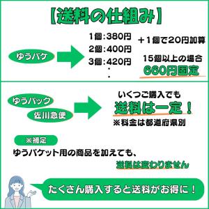 野球 ポーチ グッズ 小物 収納 雑貨 プレゼ...の詳細画像5