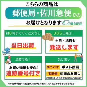 麻雀 アクセサリー グッズ 雑貨 ストラップ ...の詳細画像3