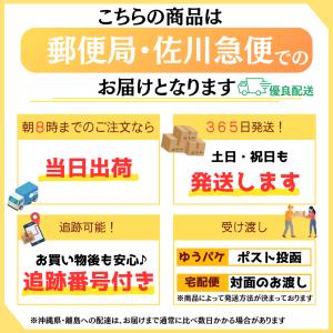 パイン シール グッズ インテリア おもちゃ ...の詳細画像4