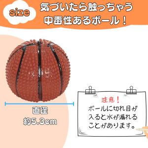 バスケ グッズ 雑貨 景品 おもちゃ 子供 オ...の詳細画像2