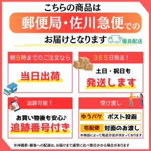 イチゴ グッズ いちご 苺 プレゼント 雑貨 ...の詳細画像3
