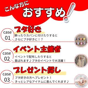 ブタ ぶた 豚 アクセサリー グッズ 雑貨 プ...の詳細画像3