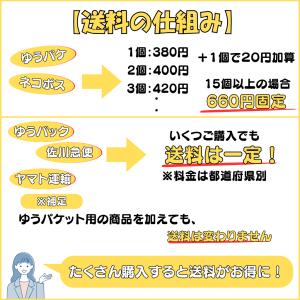 テニス グッズ 雑貨 プレゼント ギフト 記念...の詳細画像3