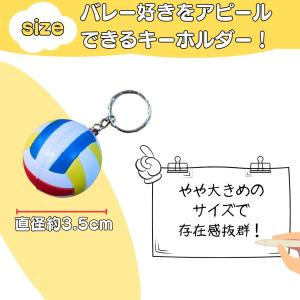 バレー アクセサリー キーホルダー グッズ 雑...の詳細画像3