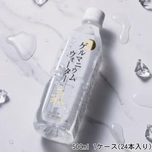 高純度水溶性 有機ゲルマニウム 有機ゲルマニウムウォーターPlus 氣 500ml 1ケース(24本入り) 医