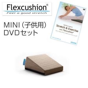 テラセンサ コアバランス 介護予防器具 代引不可 terrasensa