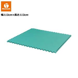 セノー ストレッチマット 180×180×2cm 代引不可 Senoh エクササイズ