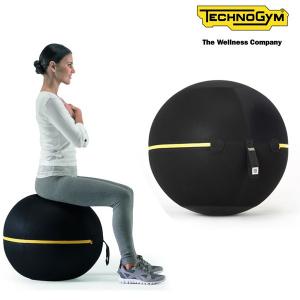 TECHNOGYM バランスボール 黒　55cm テクノジム アクティブシッティング バランスボールチェア 55cm