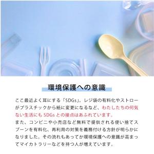 カトラリーセット 携帯用 お箸 スプーン フォ...の詳細画像1