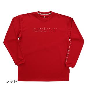 「1点限りネコポス対応」インザペイント IN THE PAINT