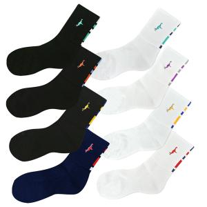 「1点限りネコポス対応」IN THE PAINT インザペイント ITP860SP