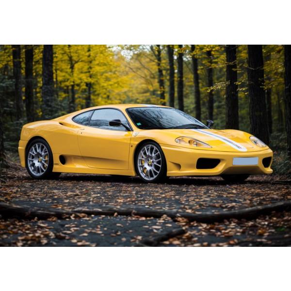 【予約】Ferrari 360 Challenge Stradale Giallo Modena イ...