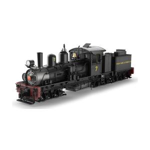 Gゲージ 鉄道模型 蒸気機関車 LGB エルジービー WSLC RR Shay No. 7 Era III sound smoke DC mfx