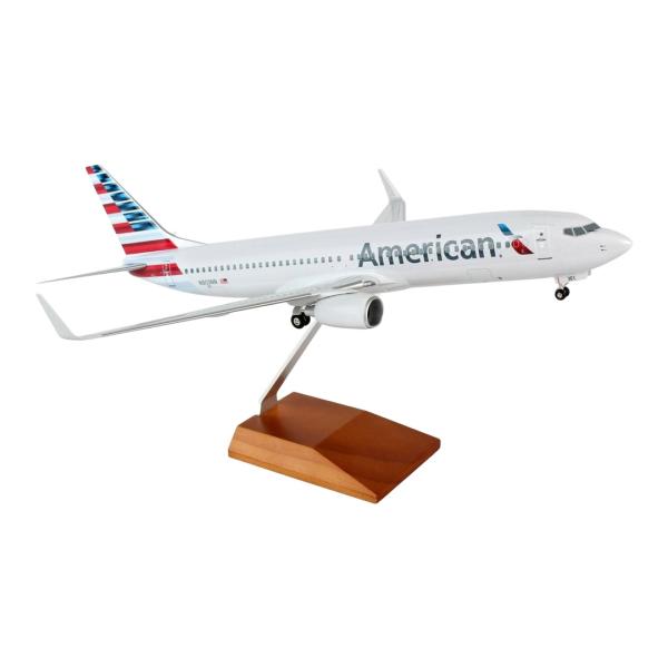 アメリカン航空 American Airlines ボーイング 737-800 / Skymarks...