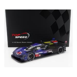 CADILLAC V-シリーズR 2号車 2023 ルマン24時間3位 汚れ TRUESCALE 1...