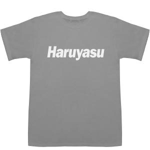 Haruyasu はるやす 晴康 陽康 啓靖 ...の詳細画像3