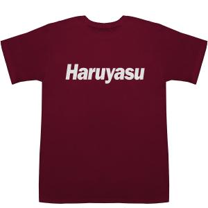 Haruyasu はるやす 晴康 陽康 啓靖 ...の詳細画像4