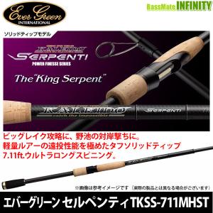 テムジン・カレイド 【送料無料】エバーグリーン EVERGREEN カレイド