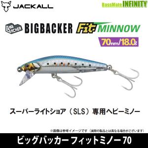 ●ジャッカル　ビッグバッカー フィットミノー 70 【メール便配送可】 【まとめ送料割】