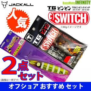 ジャッカル　TGビンビンスイッチ 120g プレーン無塗装 入り 人気ルアー2点セット (3) 【メール便配送可】 【まとめ送料割】｜bass-infinity