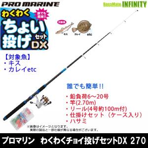在庫限定54％OFF】プロマリン わくわく ちょい投げセットDX 300 海釣り
