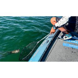 ●デプス deps ランディングネット 72の詳細画像1