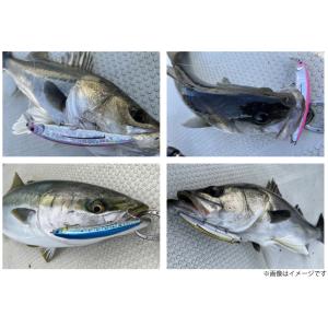 ●ハイドアップ HU-MINNOW ミノー 1...の詳細画像2