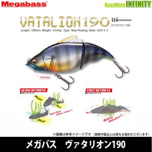 Fishman ○Fishman フィッシュマン×スカジットデザインズ パンプキン