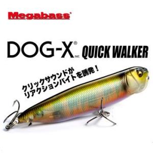 Megabass（メガバス） ポップマックス POPMAX 限定カラー #DRAGON FISH
