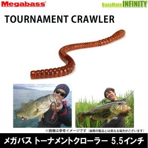 HIDEUP（ハイドアップ） 5月下旬入荷予定入荷次第発送 コイケ