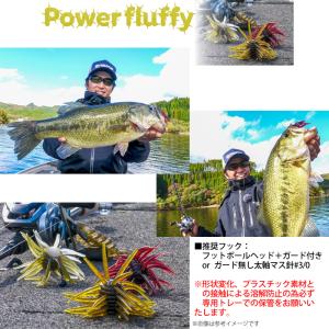 【Feco】エンジン ENGINE パワーフラ...の詳細画像1