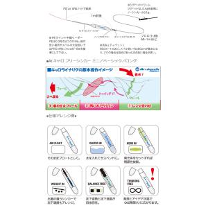 ●アルカジックジャパン Ar.キャロ フリーシ...の詳細画像1