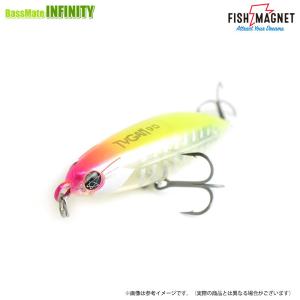 新品 FISH MAGNET フィッシュマグネット TYGAN タイガン TYGAN110