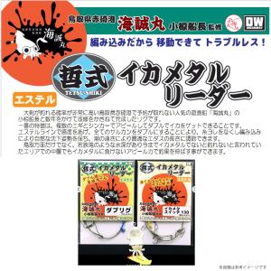 魚矢 DW ドリームウェイ 哲式 イカメタルリ...の詳細画像1