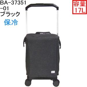 Ace（エース） ACE soelte ソエルテ アルディート 20リットルキャリー