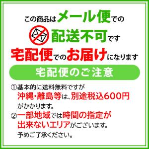 ウエルテック コンクール ConCool リペ...の詳細画像4