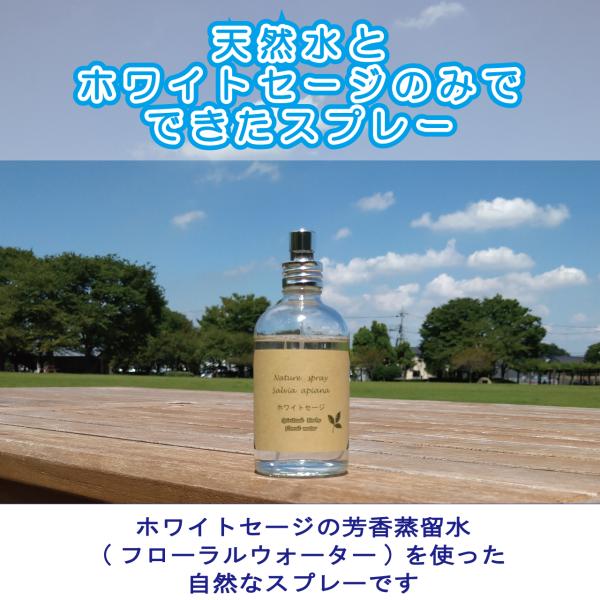 自家栽培　国産オーガニック“生”ホワイトセージ１００％使用　フローラルウォータースプレー１００ｍｌ　...