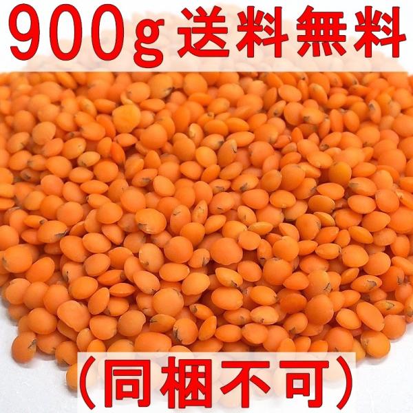 レンズ豆(赤)/マスールダル/レッドレンティル [900g]【常温】≪送料込み≫