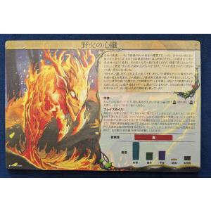 スピリット・アイランド 羽根と炎 日本語版の詳細画像1