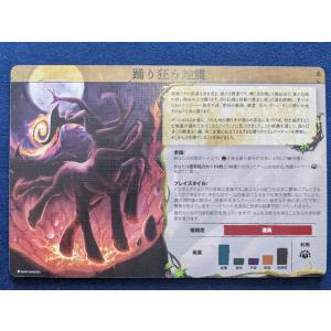スピリット・アイランド 自然の化身 日本語版(...の詳細画像1