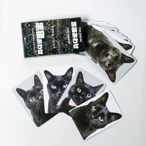 黒猫あわせ(ボードゲームまとめ買いで最大15%...の詳細画像3