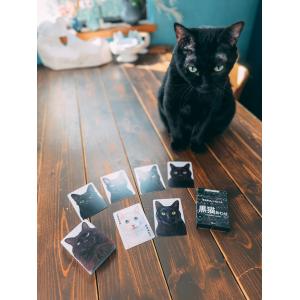 黒猫あわせ(ボードゲームまとめ買いで最大15%...の詳細画像4