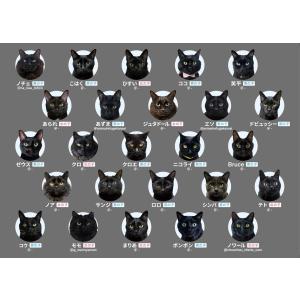 黒猫あわせ(ボードゲームまとめ買いで最大15%...の詳細画像5