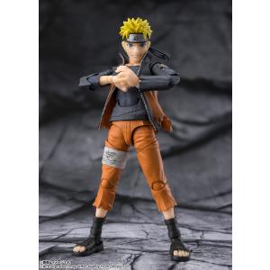 【2026年5月発売 予約商品】S.H.フィギ...の詳細画像1