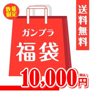 【福袋】【同梱不可】【発送目安：ご注文から2週間程度】ガンプラ福袋1万円　新春 初売り　プラモデル