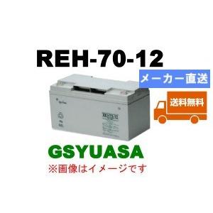 GSユアサ MSE-100-6【GSユアサ】《送料無料》メーカー直送 制御