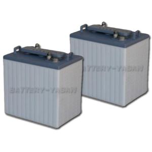 Trojan ディープサイクル バッテリ T-105 ／ ELPT (マスターベント) 6V