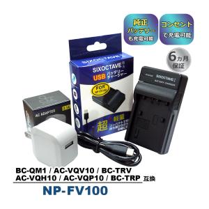 NP-FV100 NP-FV100A NP-FV50 NP-FV70 対応 Sony ソニー互換USB充電器