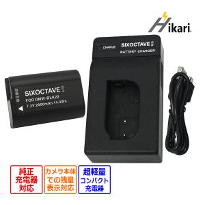 Panasonic DMW-BLK22 パナソニック 互換デュアルUSB充電器 DMW