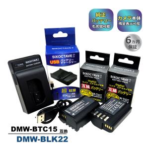 DMW-BLK22 Panasonic パナソニック 互換バッテリー 2個と 互換USB充電器 の3点セット　DMW-BTC15 対応 純正品にも対応 DC-S5M2X DC-S5 DC-GH5M2 DC-GH6